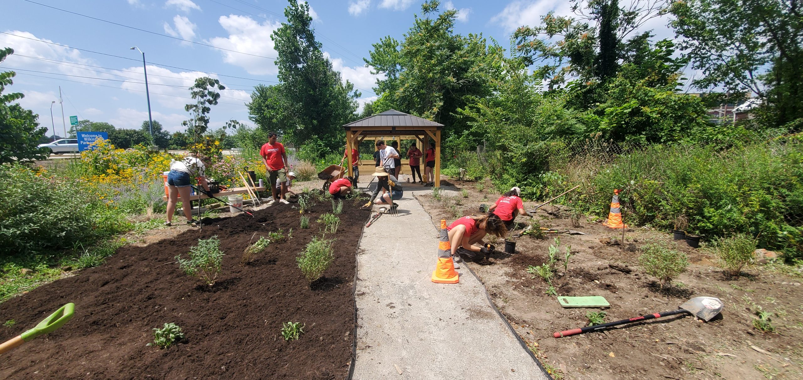 Volunteers planting and mulching at rosedale Hill garden