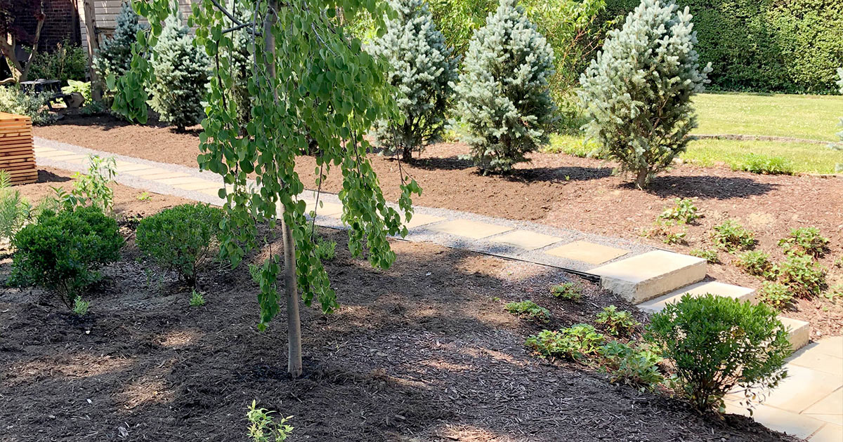 Guyette Rain Garden