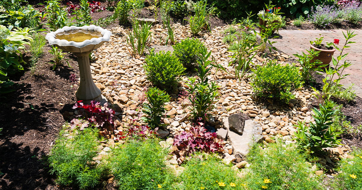 McDonough Rain Garden