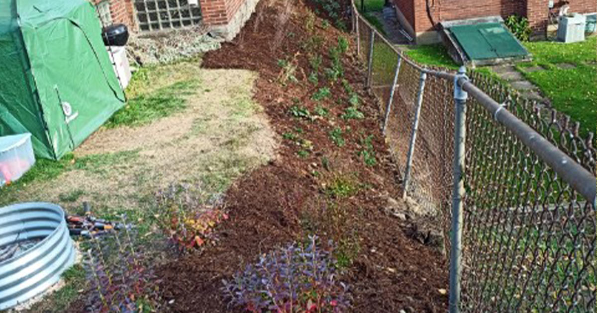 Hillside Pollinator Garden