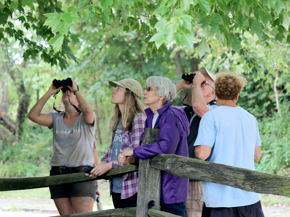 Self-guided Tree Walks