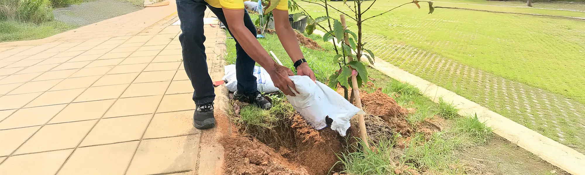 Citizen Tree Project