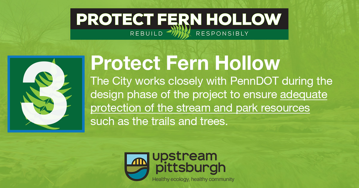 Protect Fern Hollow