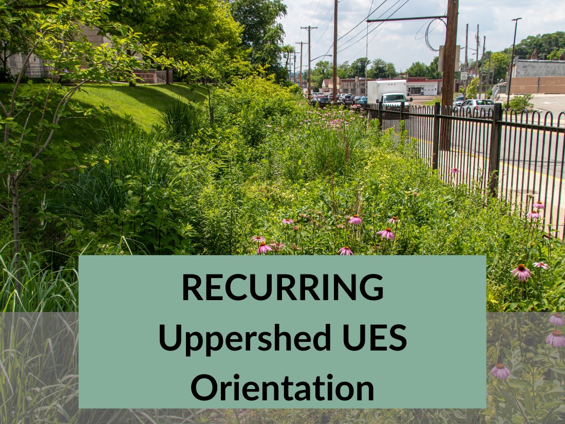 Recurring Uppershed UES Orientation