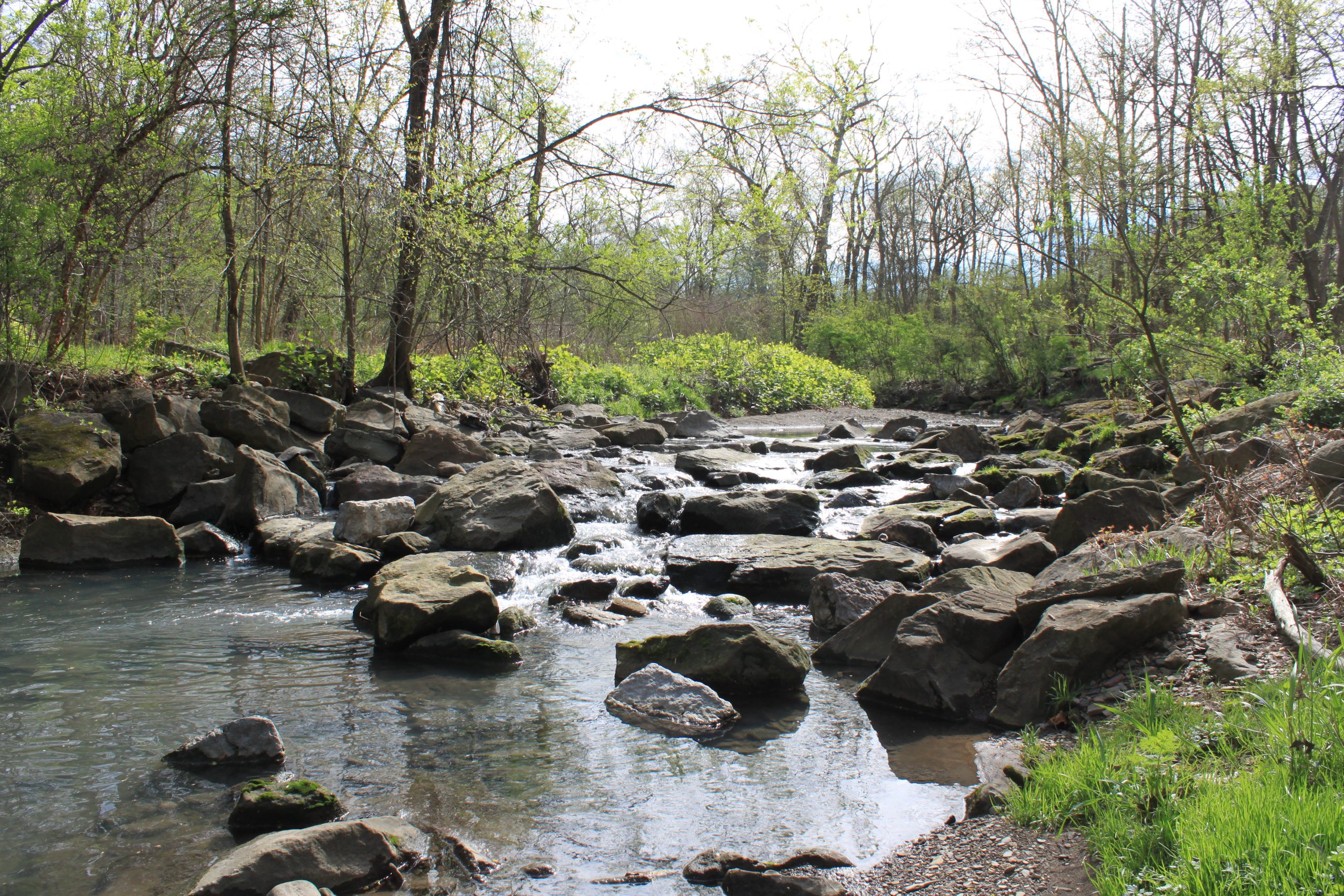 What’s on the Horizon at UpstreamPgh?
