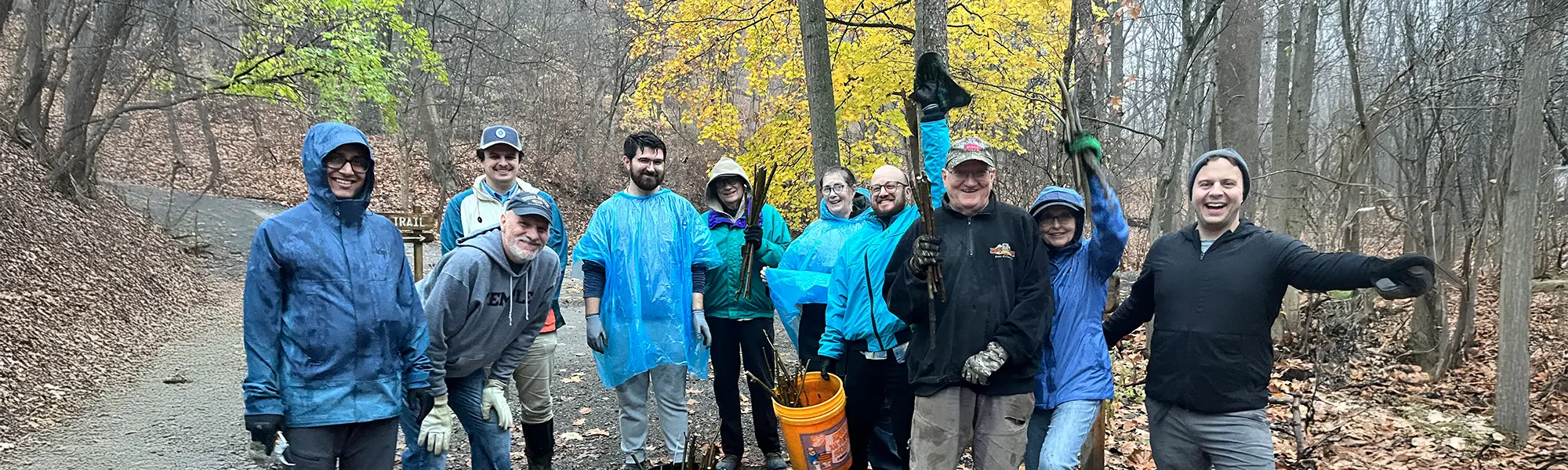 Live stake plantings along Fern Hollow Creek