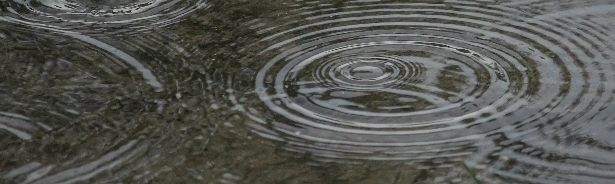 2025-26 Municipal Clean Water Infrastructure Fellowship (SRF Cohort)