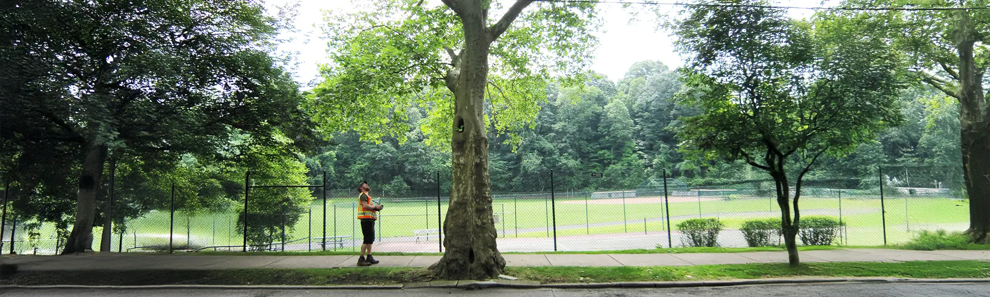 Watershed Forest Master Plan