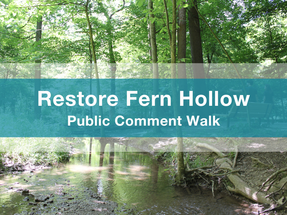 Restore Fern Hollow Public Comment Walk - UpstreamPgh