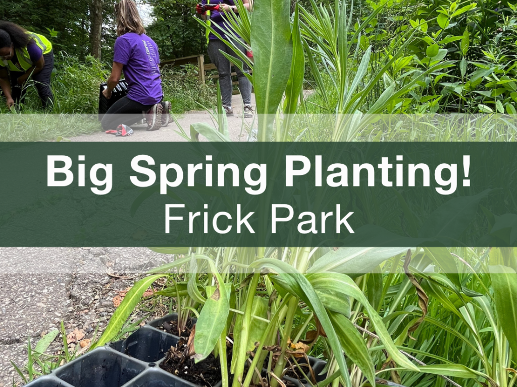 Spring Plpanting Big Spring Planting in Frick Park - UpstreamPgh